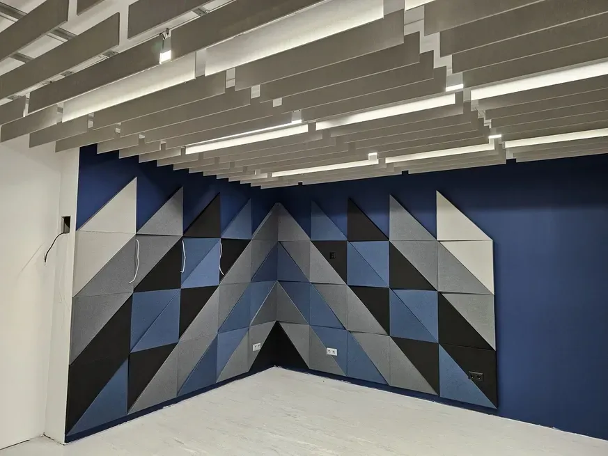 Acoustic Treatment for Podcast Studio and Conference Room