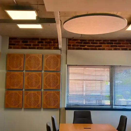 Custom Acoustic Treatment for Client-Centric Office