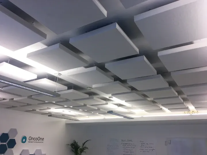 Echo reduction in meeting room and office space at OncoOne