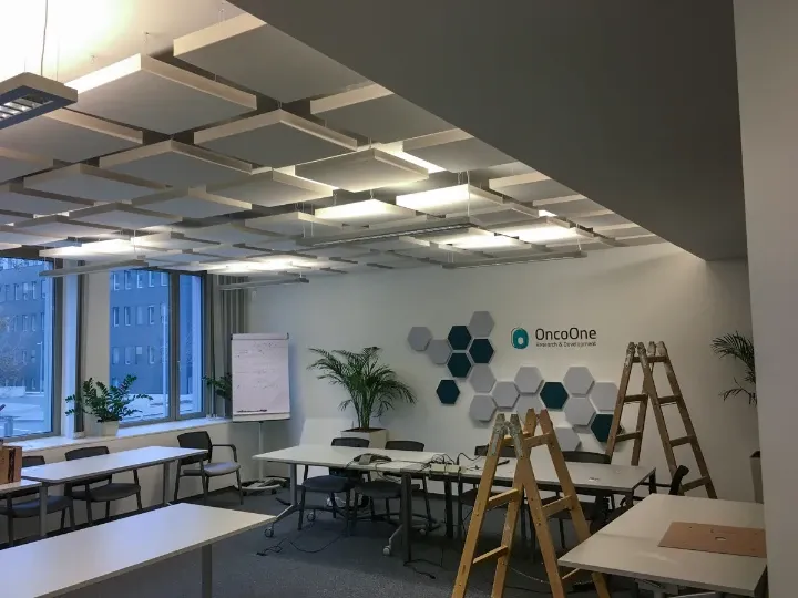 Echo reduction in meeting room and office space at OncoOne