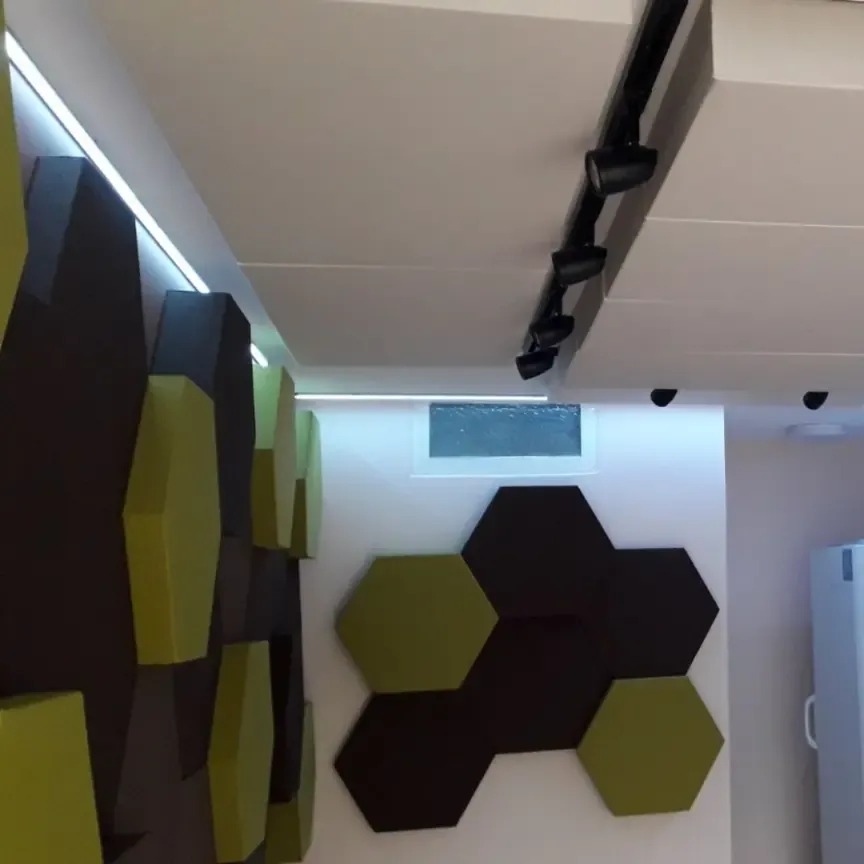 Acoustic Treatment of an Apartment for Classical Musicians