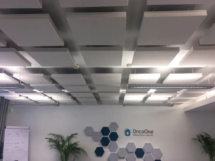 Echo reduction in meeting room and office space at OncoOne