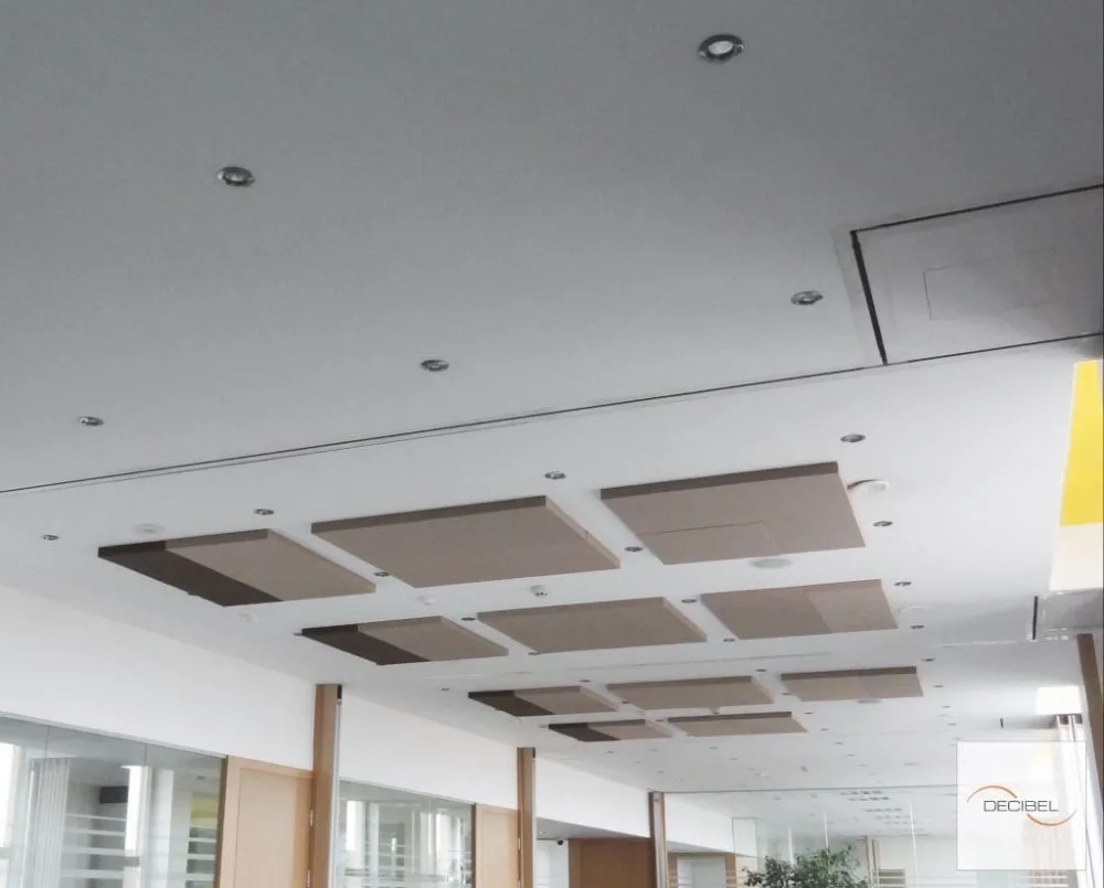 Acoustic Ceiling Panels for EY Bulgaria Office
