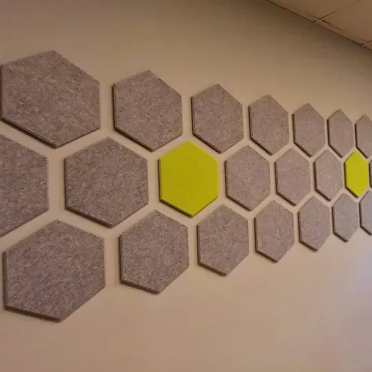 Custom Acoustic Treatment for Client-Centric Office