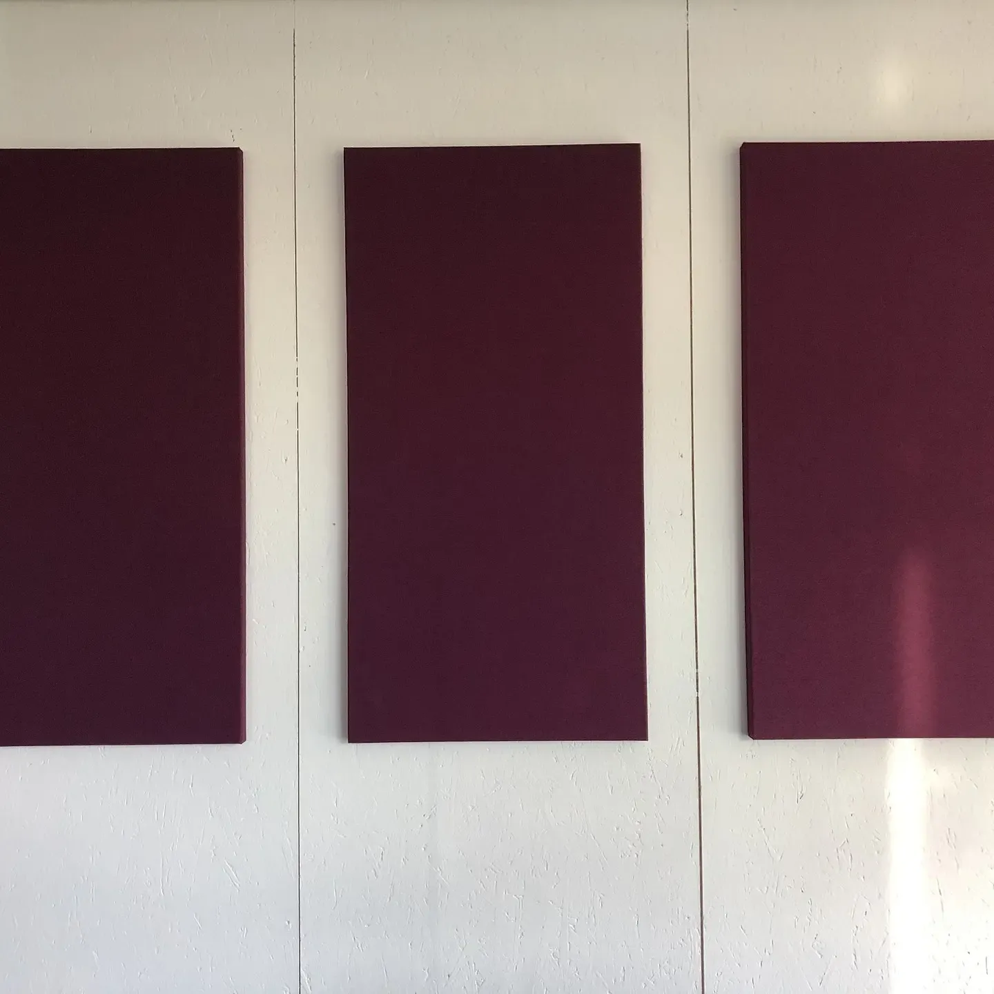 Echo Wall Acoustic Panels in BE Terna Office and Meeting Rooms