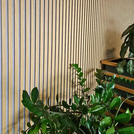 Acoustic Solutions for Office Spaces