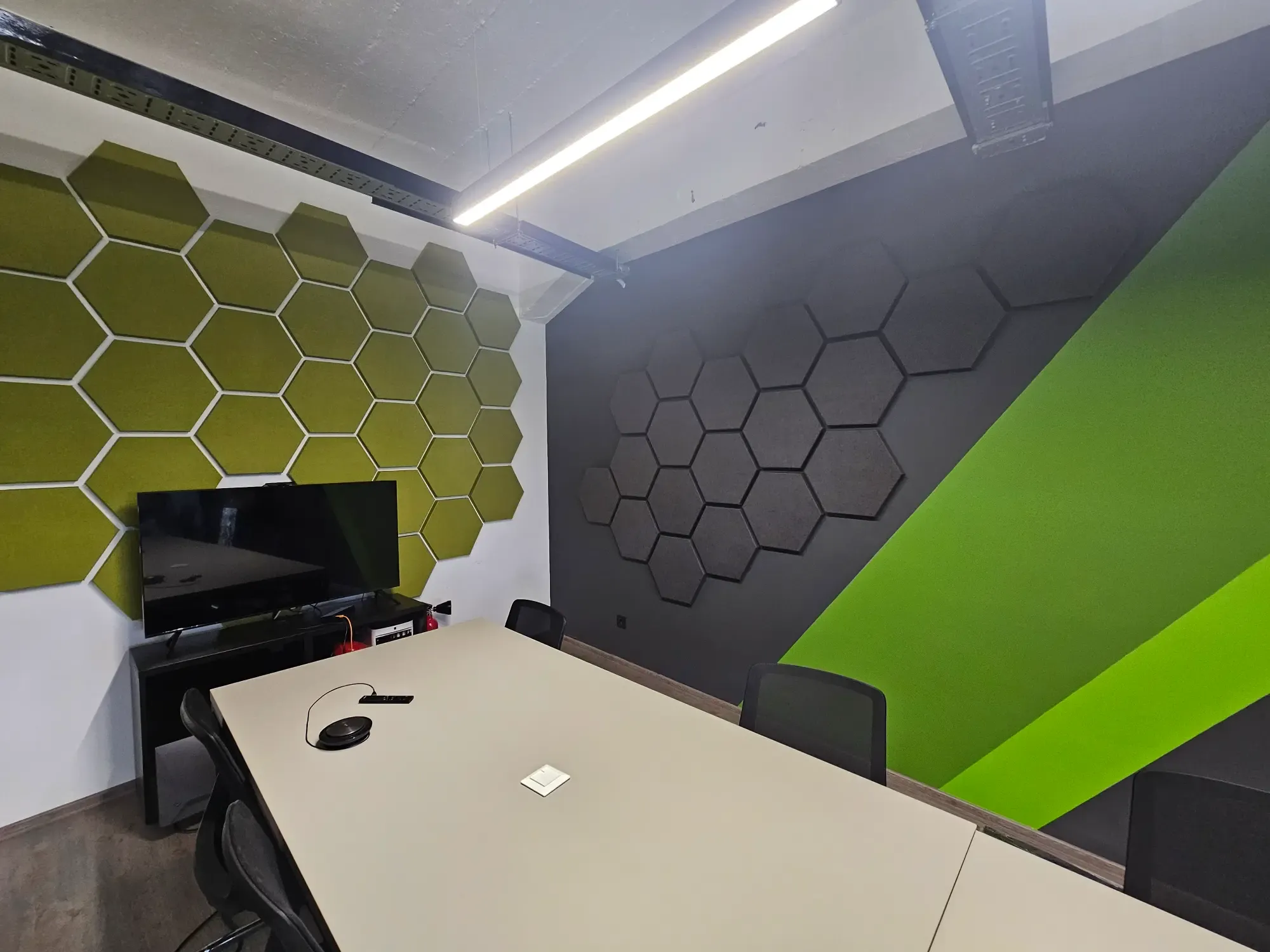 Acoustic Treatment for Sofia Office Meeting Rooms
