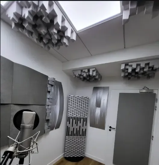 Acoustic Redesign of a TV Studio in France