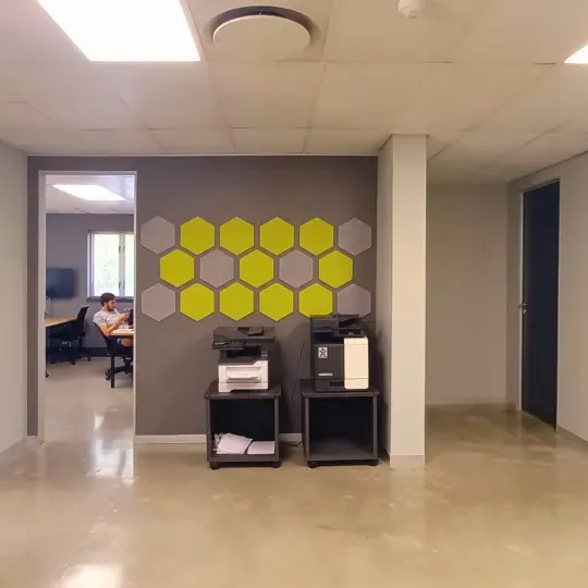 Custom Acoustic Treatment for Client-Centric Office