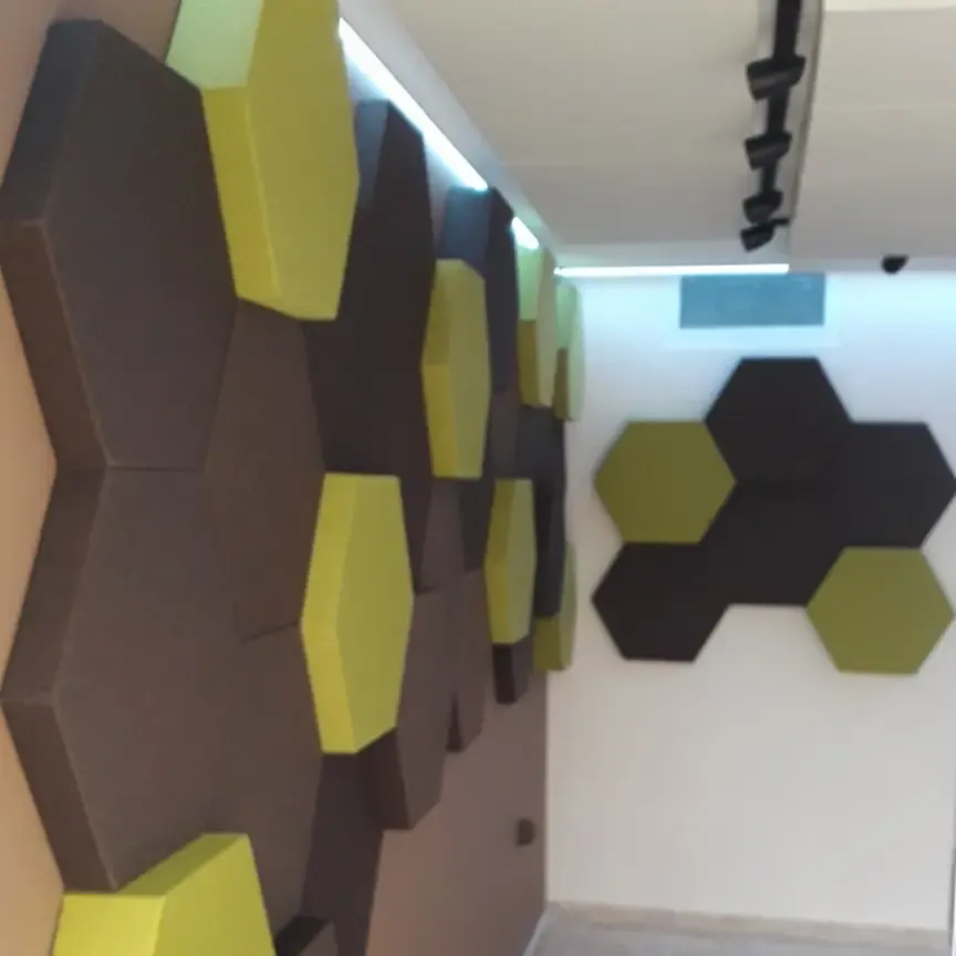 Acoustic Treatment of an Apartment for Classical Musicians